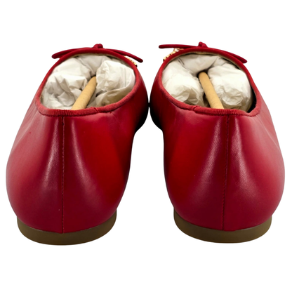 Bailarinas Plana Nori de Cuero Michael Kors